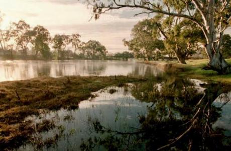 Explore Mid Murray without ferries Scenic Drive